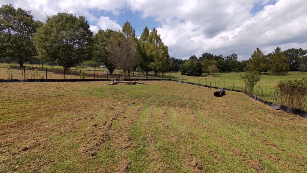 備北丘陵公園 北口ドッグラン 奥 広島 犬連れ