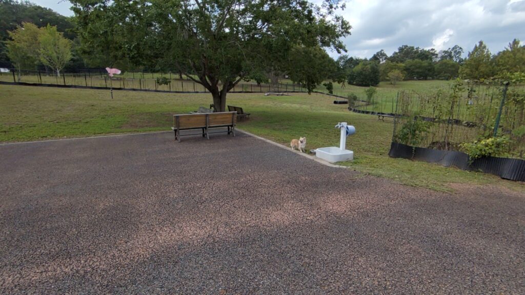 備北丘陵公園北口ドッグランの様子（広島・犬連れ）